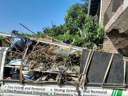 Best Residential Junk Removal  in Roan Mountain, TN