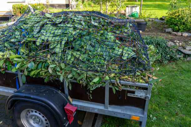 Best Residential Junk Removal  in Roan Mountain, TN